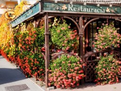 Restaurant Pod Winogronami Unter der Weinrebe