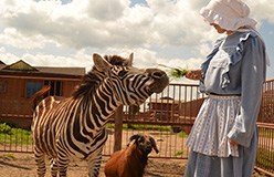 Freizeitpark Dziki Zachod Wilder Westen