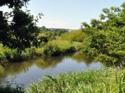Naturschutzgebiet Buczyna nad S upi Buchenwald an der Stolpe